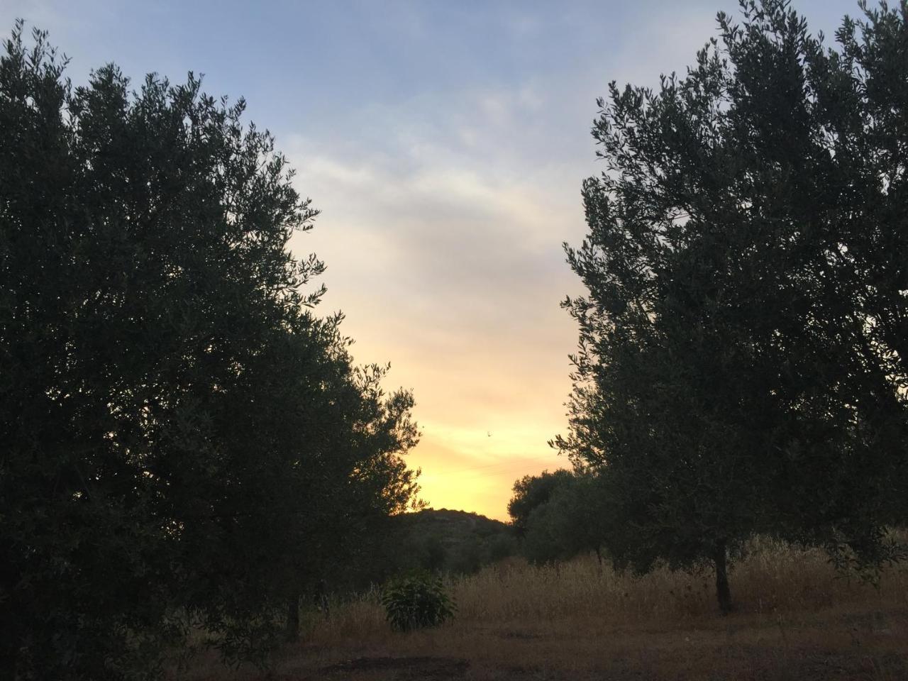Agriturismo Saccollino San Paolo  Екстер'єр фото