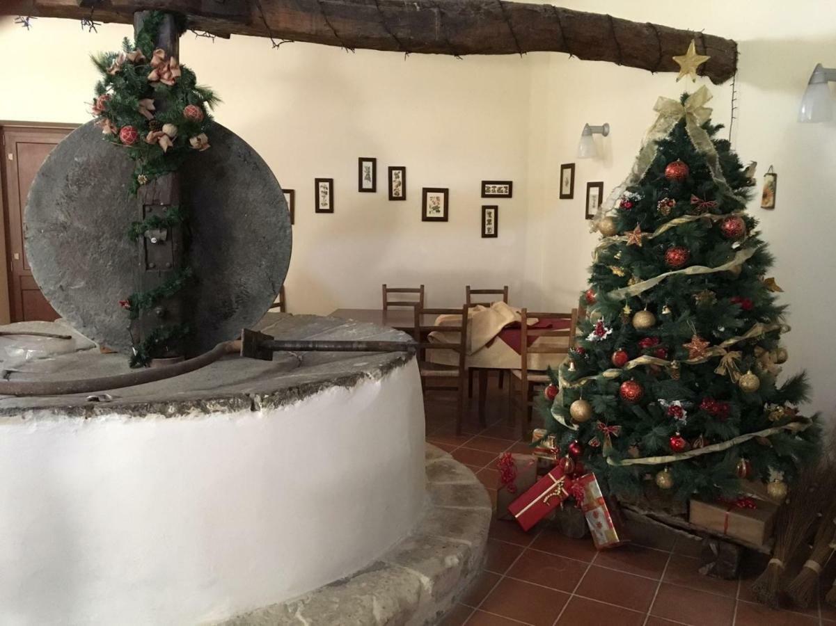 Agriturismo Saccollino San Paolo  Екстер'єр фото