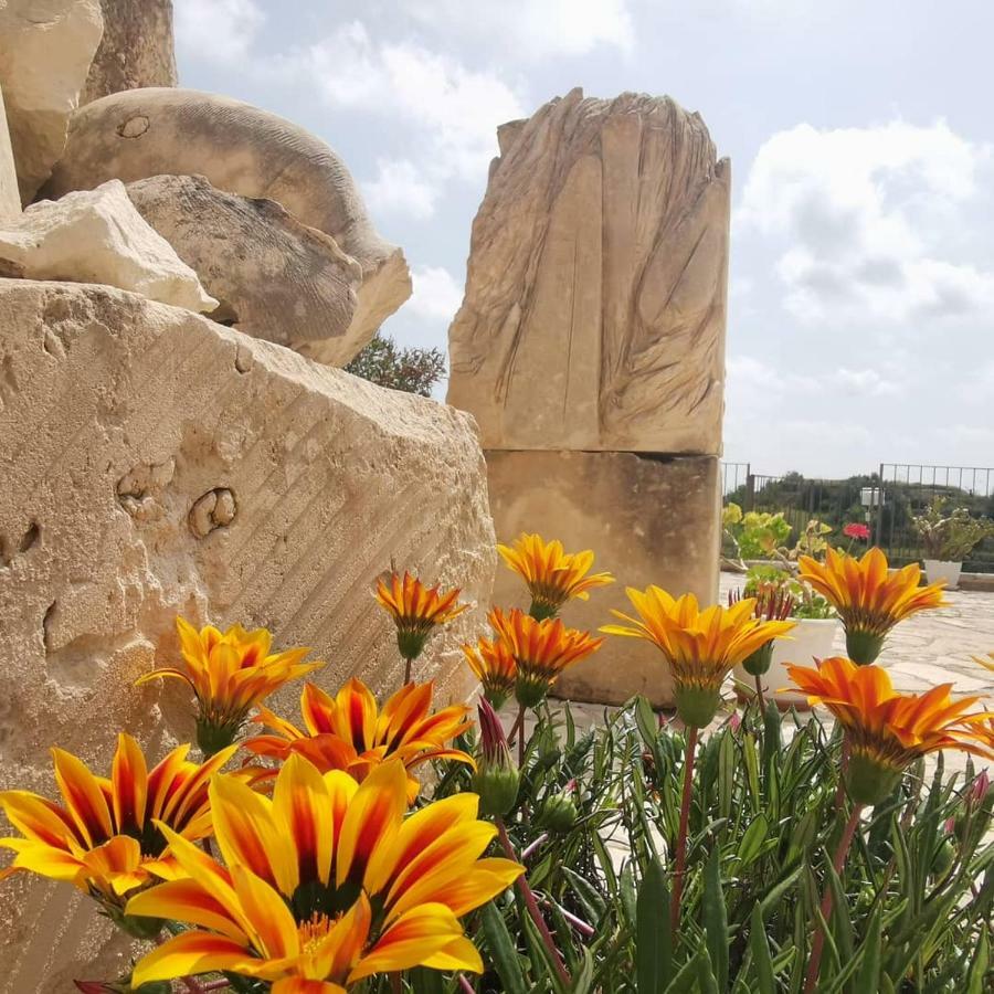 Agriturismo Saccollino San Paolo  Екстер'єр фото